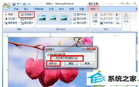 点击左上方的“压缩图片” win10系统在office2007 word文档中插入图片后无法显示的解决方法