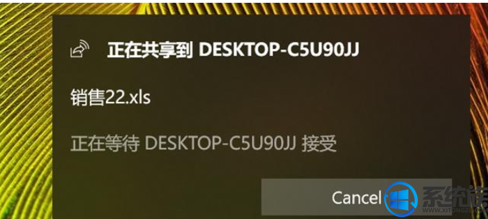 手把手教你如何使用win10 1903的体验共享功能