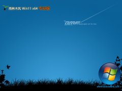 ľwin11 64λv2025.05