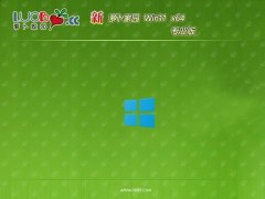 ܲ԰win11⼤64λؿҵv2025.05