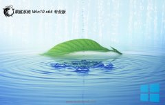 ϵͳwin10 64λ ⼤๦ٰܳv2025.05