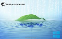 ϵͳwin11 64λ ⼤v2025.05