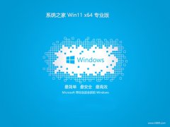 ϵͳ֮v2025.05win11 64λ